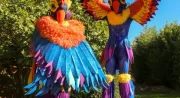 Icare Folies du Samedi 19 Septembre_Plateau des Petites Roches
