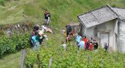 Formule visite de cave et dégustation au domaine des crocs blancs_Chapareillan