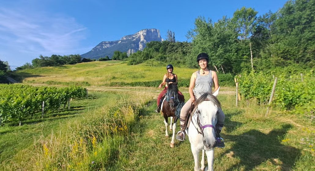 Initiation à la randonnée à cheval et découverte du vignoble savoyard en duo_Chapareillan