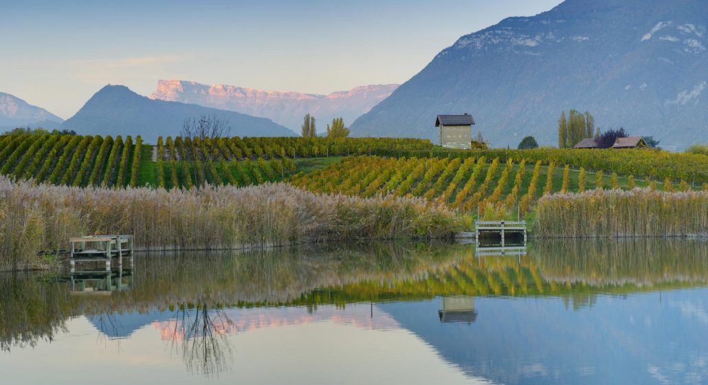 GR®965 en Chartreuse - Sur les pas des Huguenots de Grenoble à Chambéry_Plateau des Petites Roches