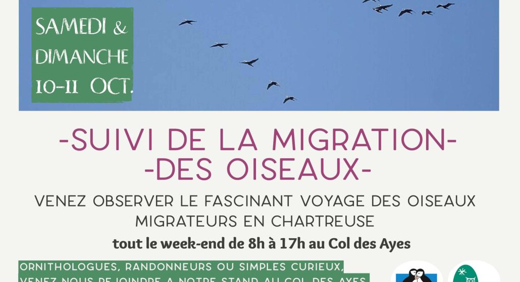 affiche animation